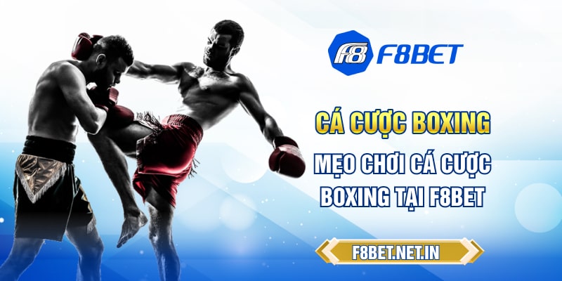 Ca-Cuoc-Boxing-Meo-Choi-Ca-Cuoc-Boxing-Tai-F8BET