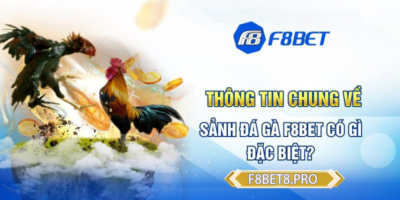 Thông tin chung về sảnh đấu gà F8BET có gì đặc biệt?