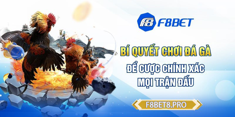 Bí quyết chơi đá gà để cược chính xác mọi trận đấu