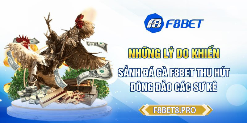 Những lý do khiến sảnh đá gà F8BET thu hút đông đảo các sư kê